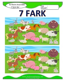 İki Resim Arasındaki Farkı Bul Etkinliği